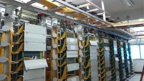 適合男生的四大專業(yè),找工作不發(fā)愁,而且進(jìn)國企和公職單位機會多